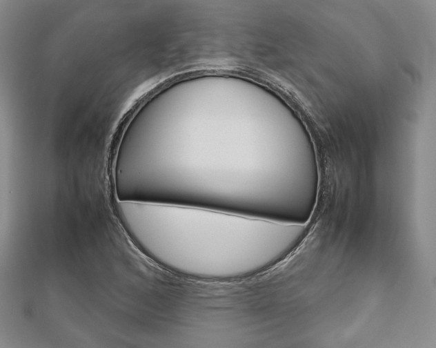 X0000112811168200908210932