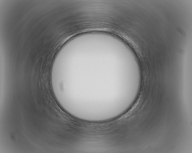 X0000112811169200908210932