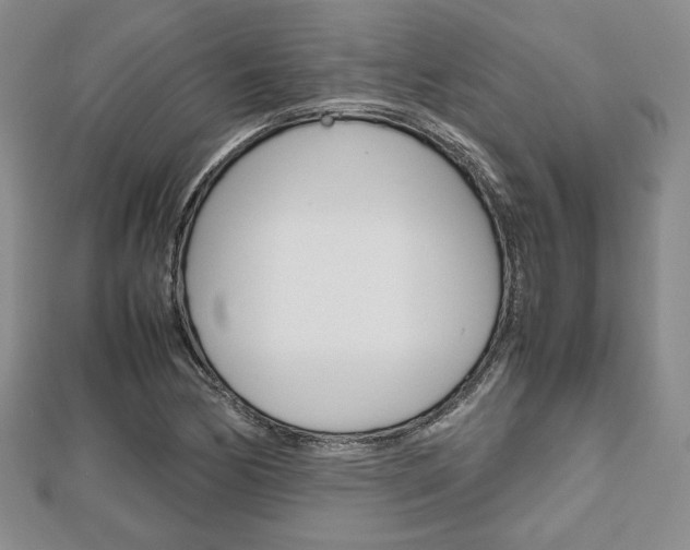 X0000112811170200908210932