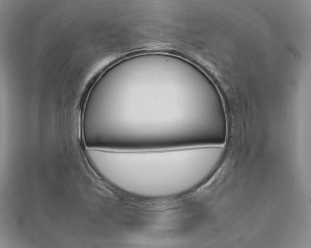 X0000112811171200908210932