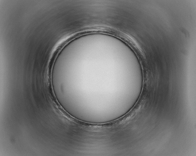 X0000112811172200908210932