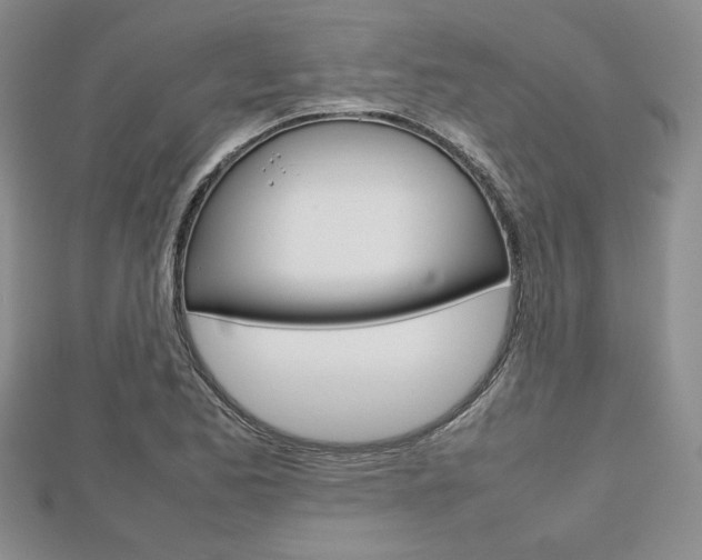X0000112811173200908210932