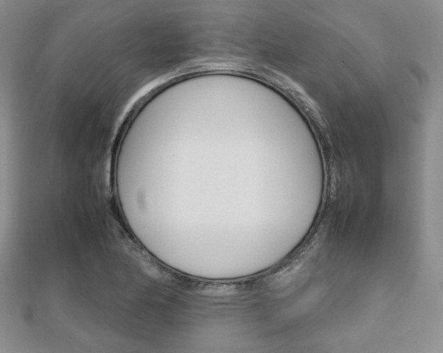 X0000112811174200908210932