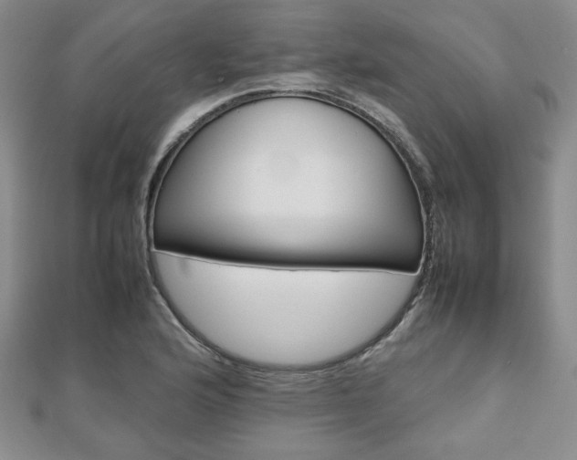 X0000112811176200908210932