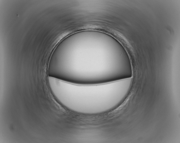 X0000112811177200908210932