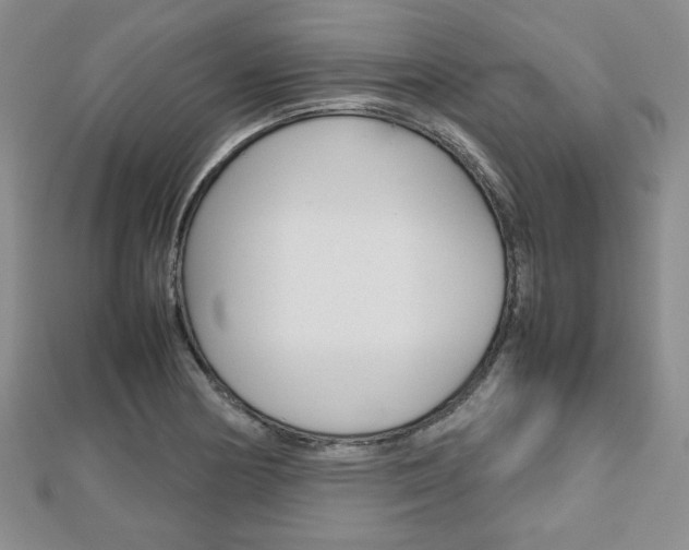 X0000112811178200908210931