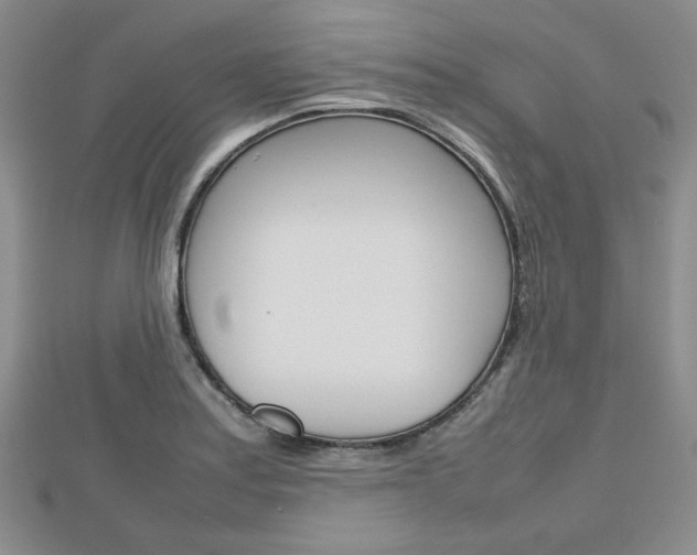 X0000112811179200908210931
