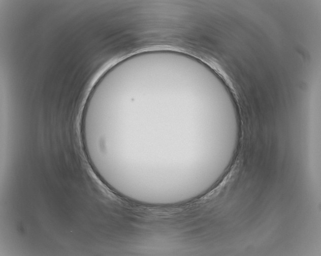 X0000112811181200908210931