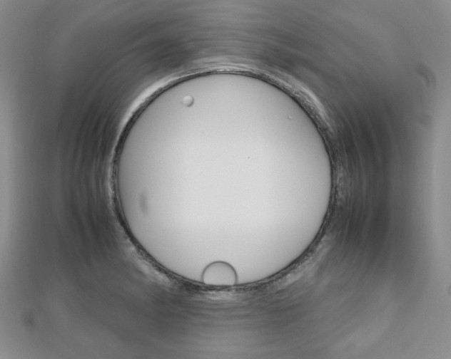 X0000112811182200908210931