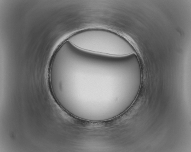 X0000112811183200908210931