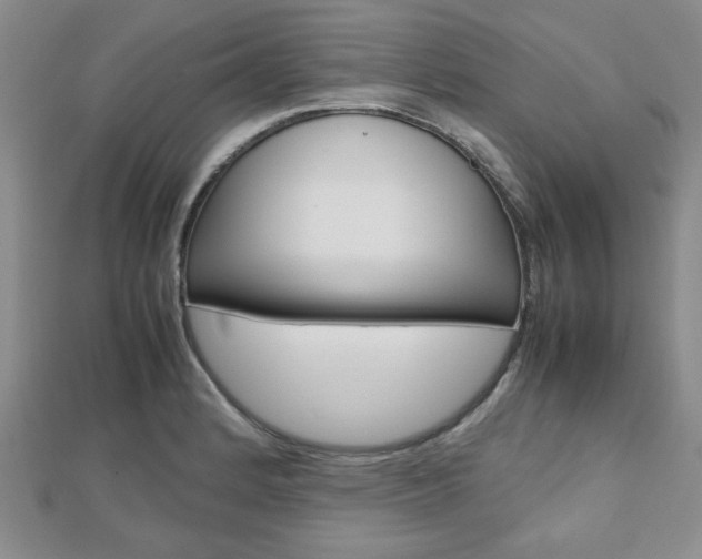 X0000112811184200908210931