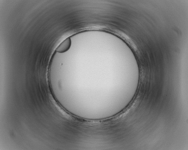 X0000112811186200908210931