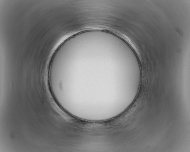 X0000112811187200908210931