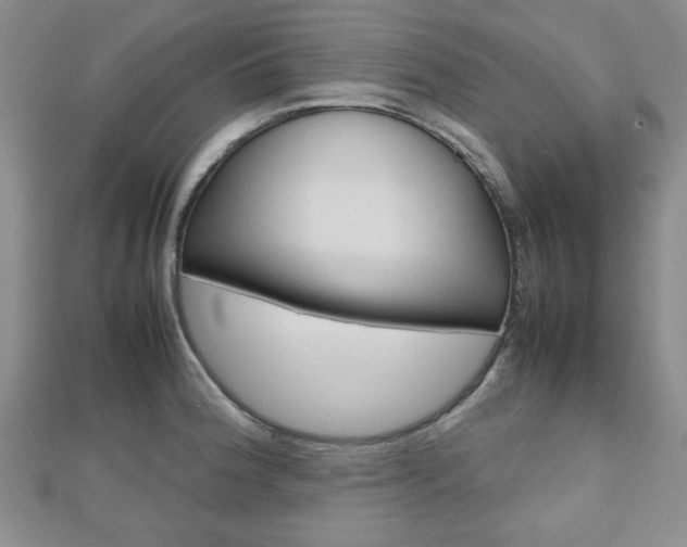 X0000112811188200908210931