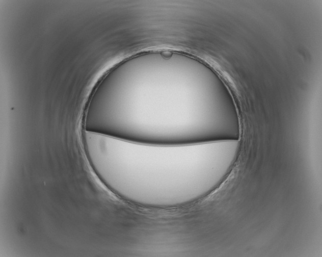 X0000112811189200908210931