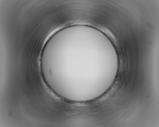 X0000112811190200908210931