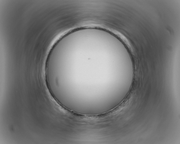 X0000112811191200908210931
