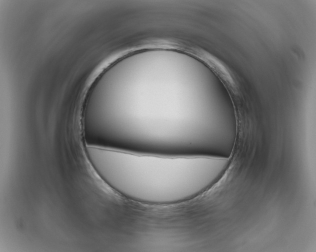 X0000112811192200908210931