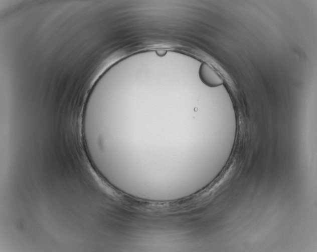 X0000112811194200908210931