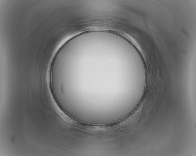 X0000112811195200908210931