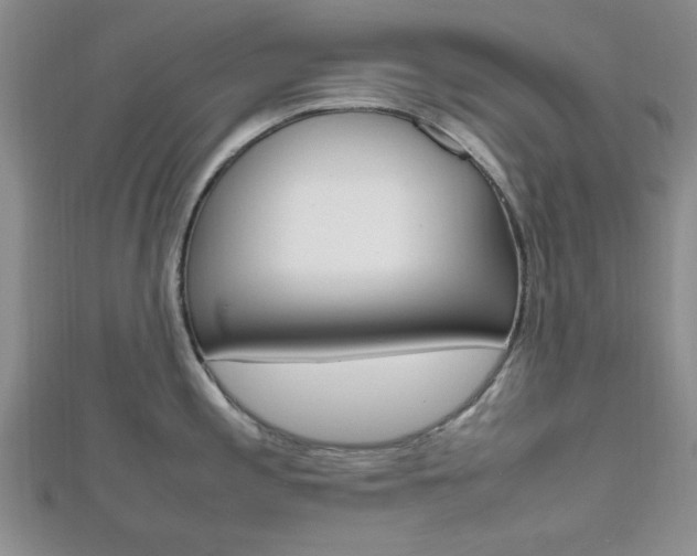 X0000112811197200908210931