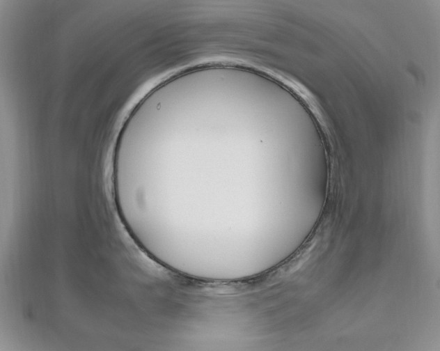 X0000112811199200908210931
