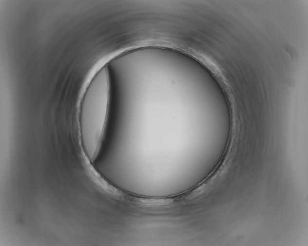 X0000112811200200908210931