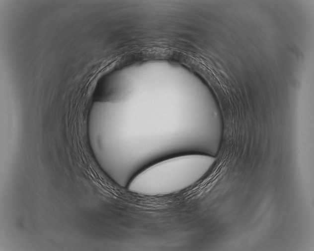 X0000112811201200908210931