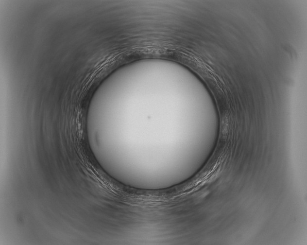 X0000112811202200908210931
