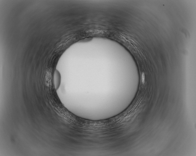 X0000112811203200908210931
