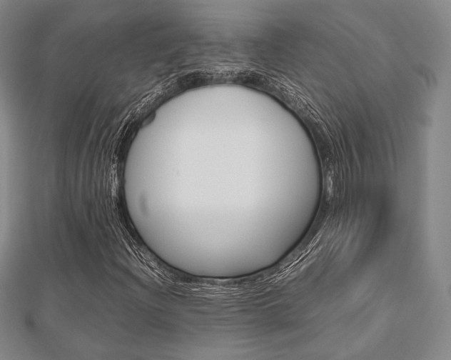 X0000112811204200908210931
