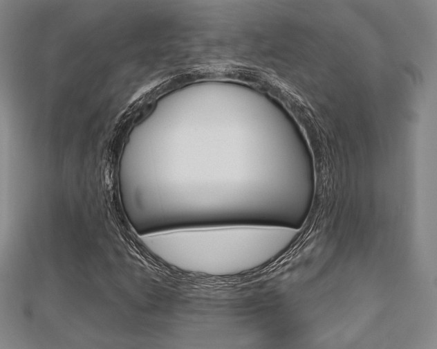 X0000112811206200908210931