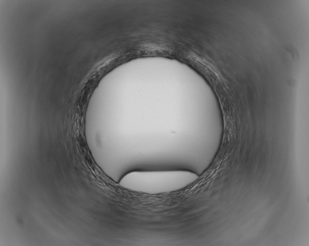 X0000112811207200908210931
