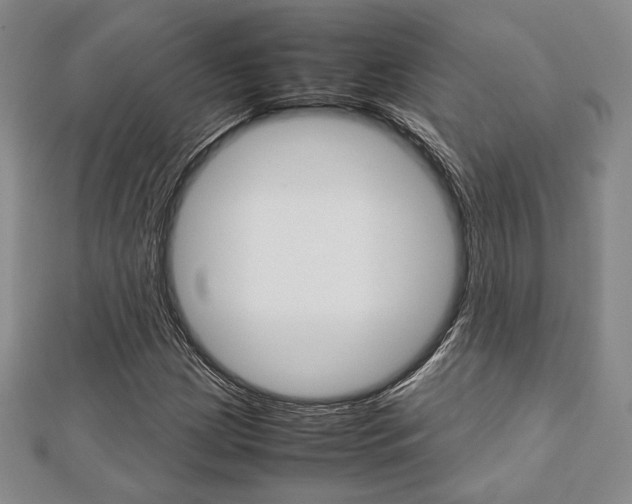X0000112811209200908210931