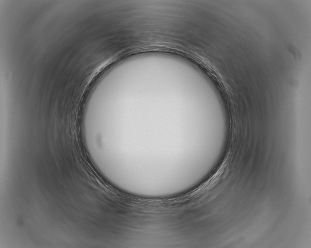 X0000112811210200908210931