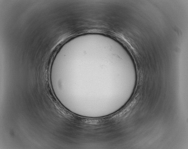 X0000112811211200908210931