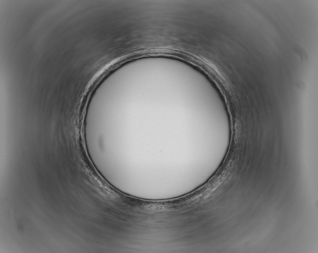 X0000112811212200908210931