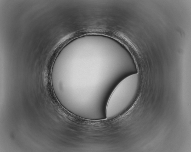 X0000112811213200908210931