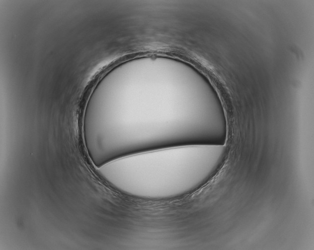 X0000112811214200908210931