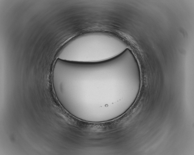 X0000112811217200908210931