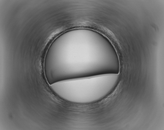 X0000112811218200908210931
