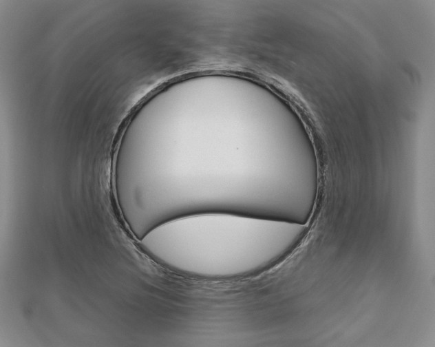 X0000112811220200908210931