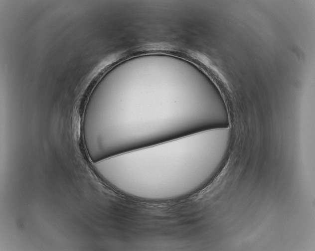 X0000112811221200908210931