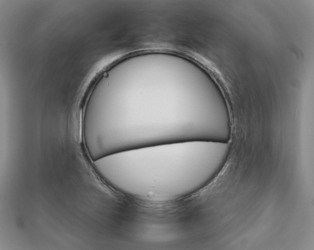 X0000112811223200908210931