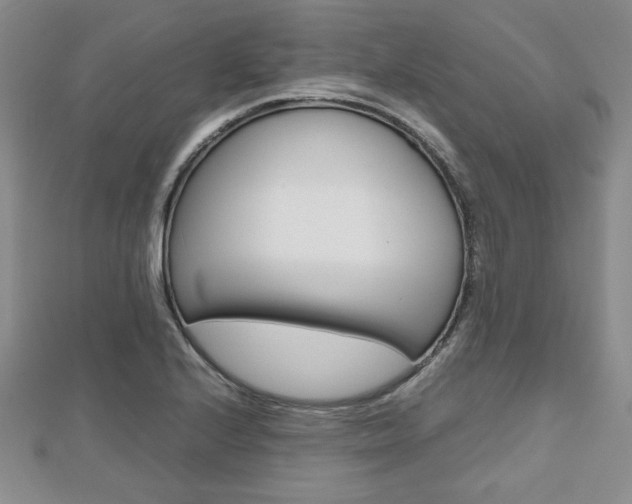 X0000112811224200908210931