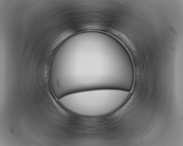 X0000112811225200908210931