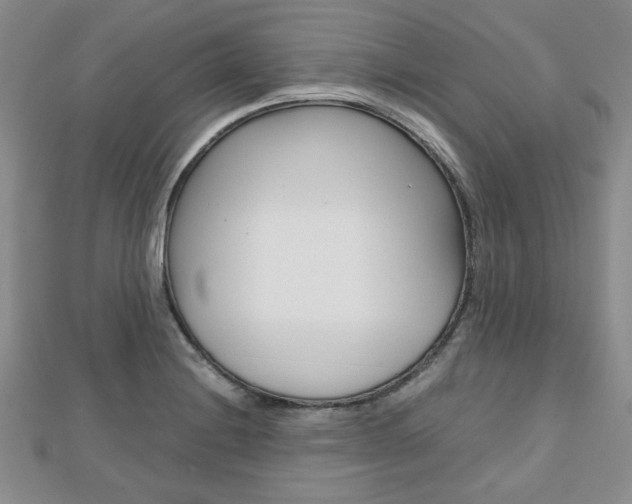 X0000112811228200908210931