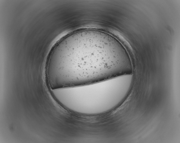 X0000112811229200908210931
