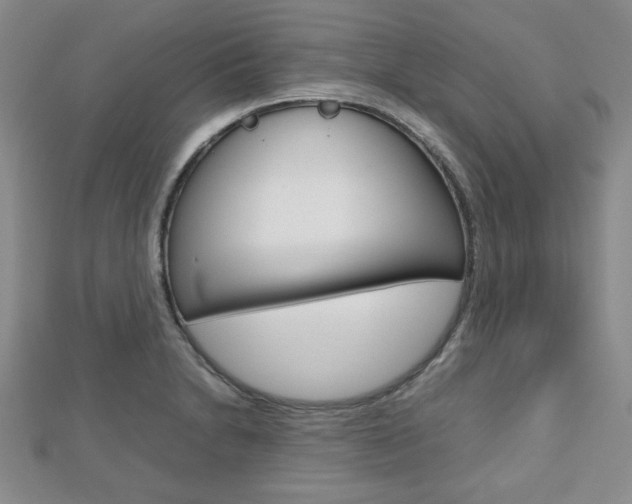 X0000112811230200908210931