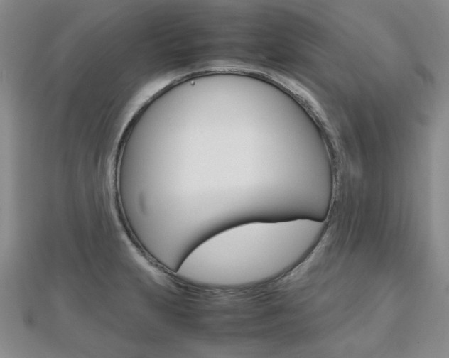 X0000112811231200908210931